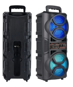 Double Subwoofer de 6,5'' avec Basses Puissantes, Radio FM, Microphone Sans Fil, Lumières RGB, Enceinte Tour Karaoké Portable DJ Boombox pour Fête