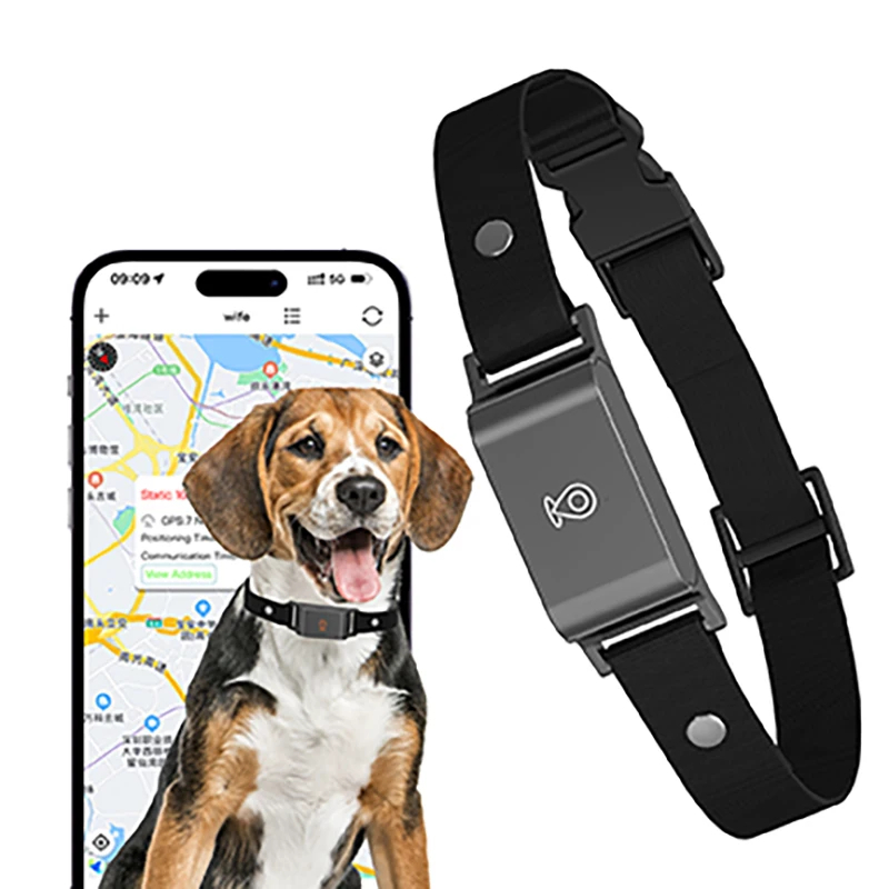 Dispositif Anti-Perte Usine pour Animaux de Compagnie Chat Chien, Localisation en Temps Réel, Traceur Intelligent GPS, Collier de Suivi pour Animaux, OEM&ODM