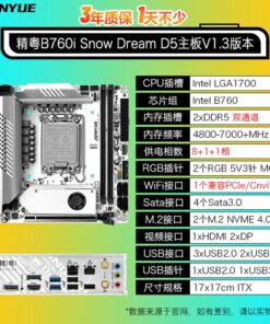 Carte mère Jingyue B760I Snow dream D5