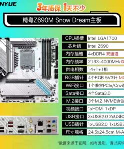 Carte mère Jingyue Z690M Snow dream