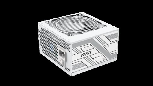 Alimentation MSI PAG G750N WHITE 750 W